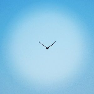 Meet your Posher, Rick